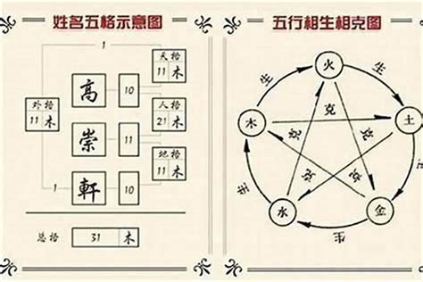 鴻字五行|鴻字五行揭秘：誰的姓名最旺財？